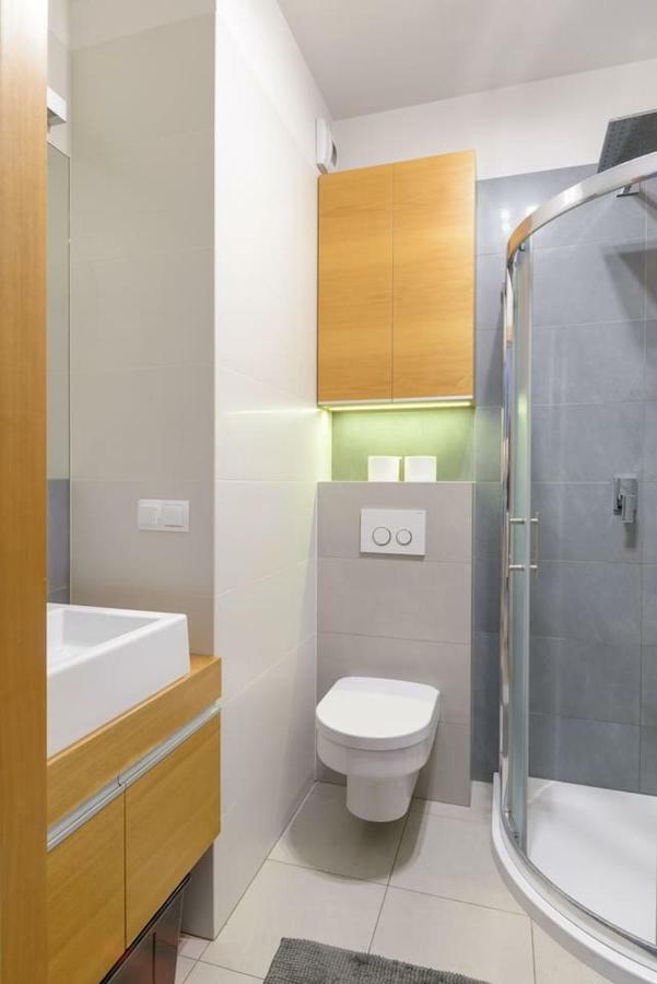Dabrowskiego Apartment Poznań Eksteriør billede